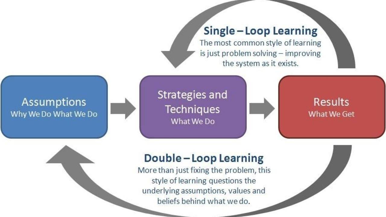 double loop learning