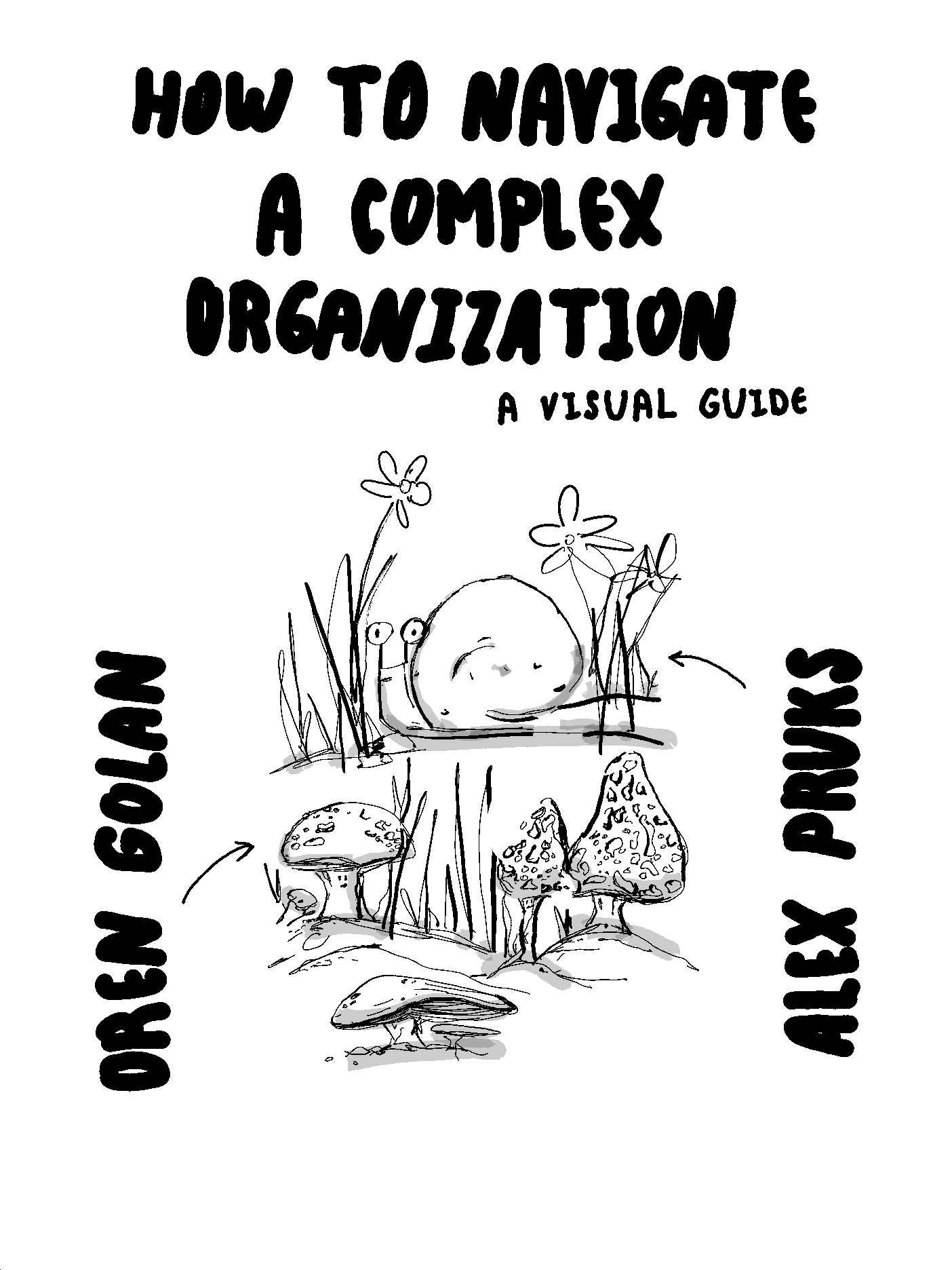 navigate-complex-org